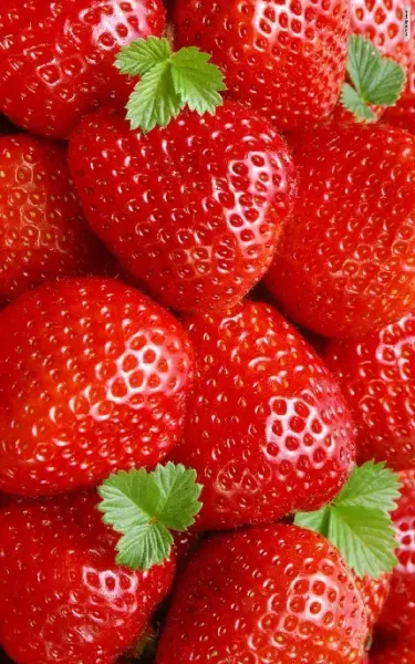  عکس توت فرنگی درون سبد حصیری