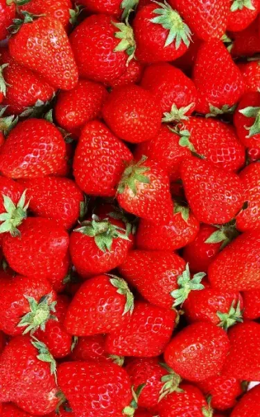  عکس توت فرنگی درون سبد حصیری