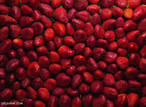  عکس پس زمینه توت فرنگی برای گوشی آیفون