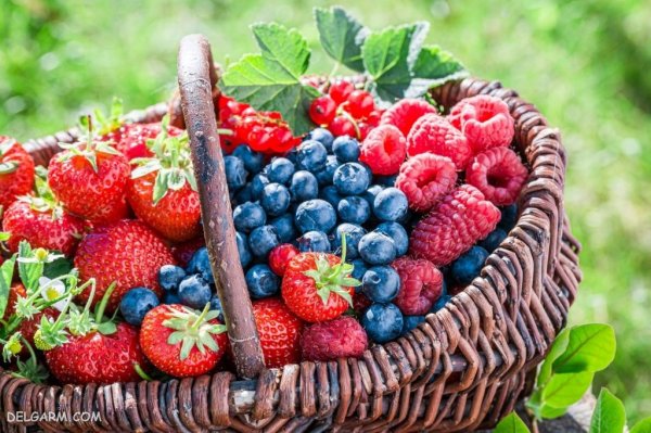  عکس پس زمینه توت فرنگی برای گوشی آیفون