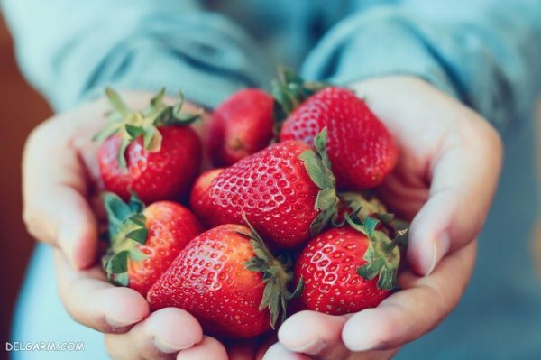  بک گراند توت فرنگی های تازه برای موبایل