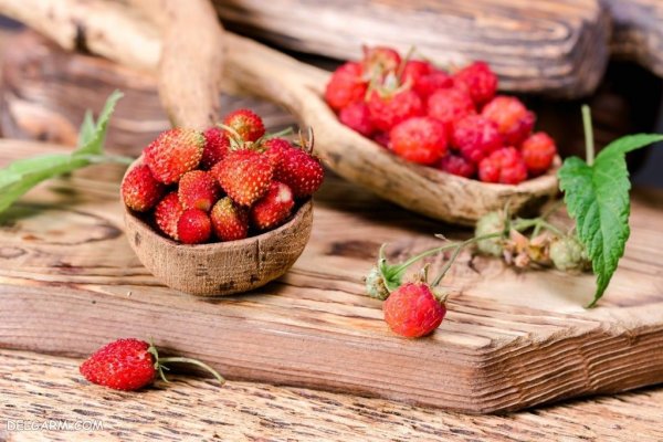  بک گراند توت فرنگی های تازه برای موبایل