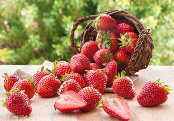  بک گراند توت فرنگی های تازه برای موبایل