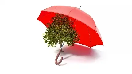  دانلود عکس چتر با کیفیت بالا