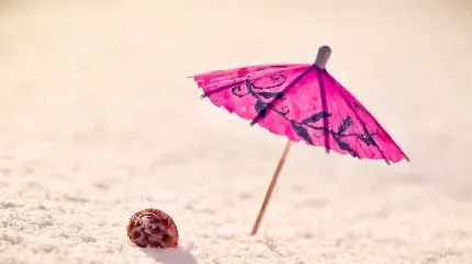  عکس چتر شیک و لاکچری