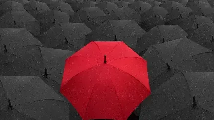  عکس چتر شیک و لاکچری