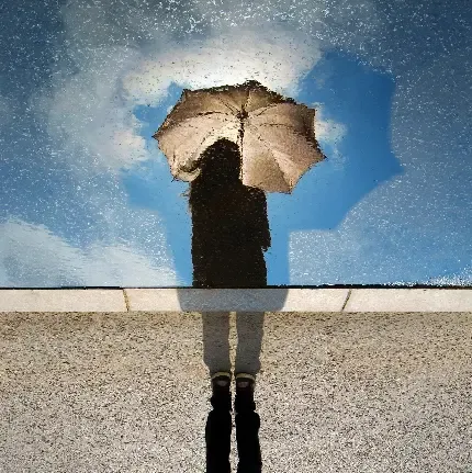 عکس چتر شیک و لاکچری