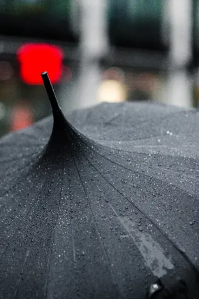  عکس چتر شیک و لاکچری