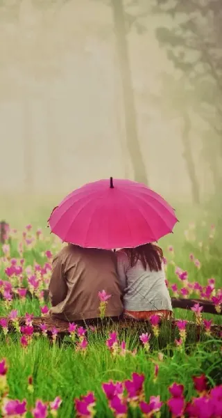  عکس چتر شیک و لاکچری