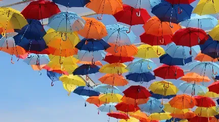  عکس چتر شیک و لاکچری