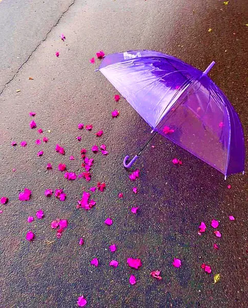  عکس چتر و باران برای پروفایل