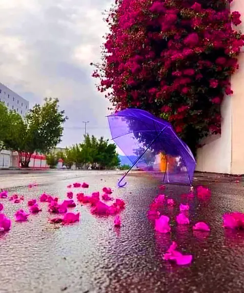  عکس چتر و باران برای پروفایل
