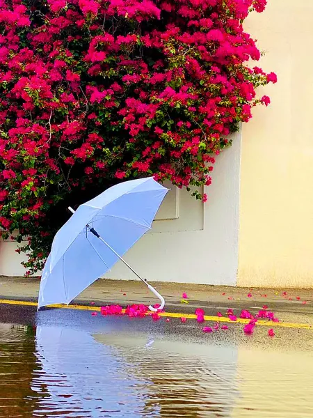  عکس چتر و باران برای پروفایل