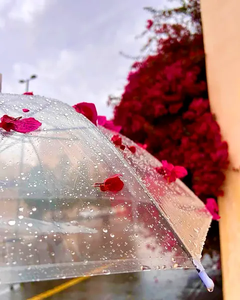 عکس چتر و باران برای پروفایل