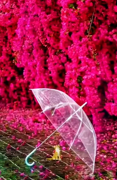  عکس چتر و باران برای پروفایل
