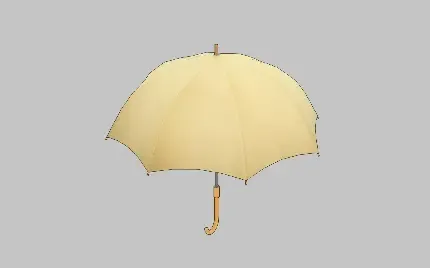  عکس چتر برای پروفایل واتساپ و تلگرام