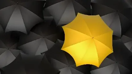 عکس چتر برای پروفایل واتساپ و تلگرام