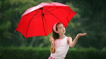  عکس چتر برای پروفایل واتساپ و تلگرام