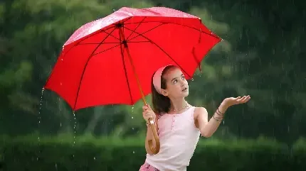  بک گراند چتر برای گوشی موبایل