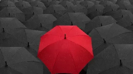  بک گراند چتر برای گوشی موبایل