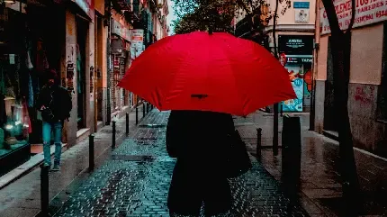  والپیپر چتر برای گوشی