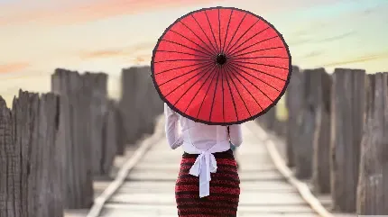  والپیپر چتر برای گوشی