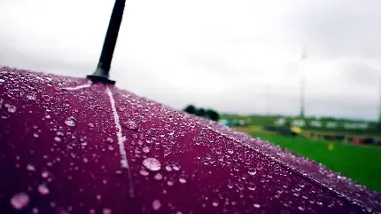  والپیپر چتر برای گوشی