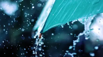  استوری چتر در باران