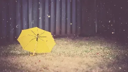  عکس های چتر رنگارنگ