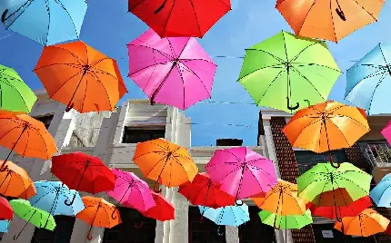  عکس های چتر رنگارنگ