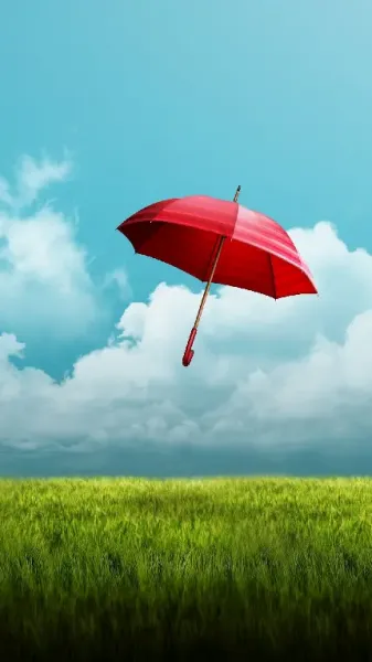  عکس های چتر رنگارنگ