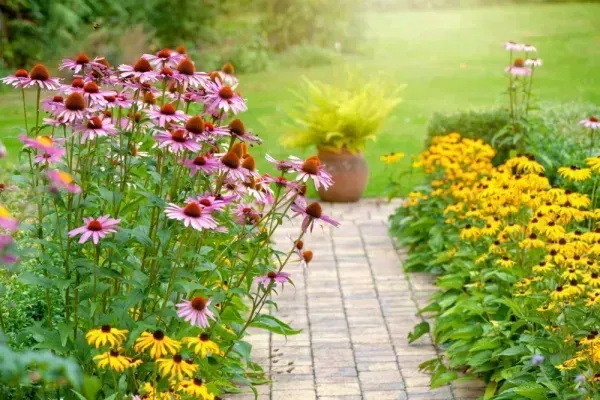  عکس های باغچه و باغبان