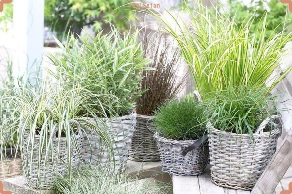 عکس های باغچه زیبا