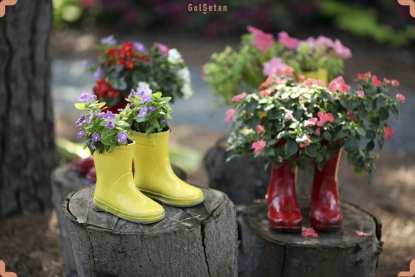 عکس های باغچه زیبا