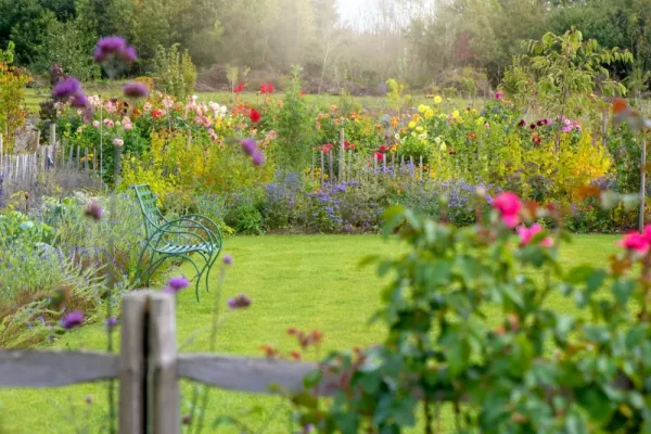 عکس باغچه برای استوری اینستاگرام