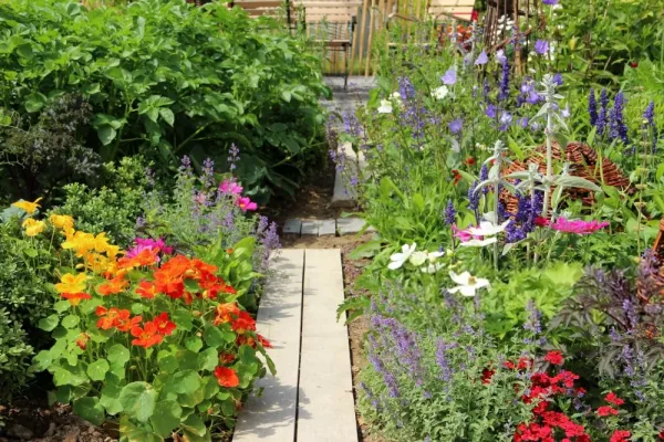 عکس باغچه برای استوری اینستاگرام