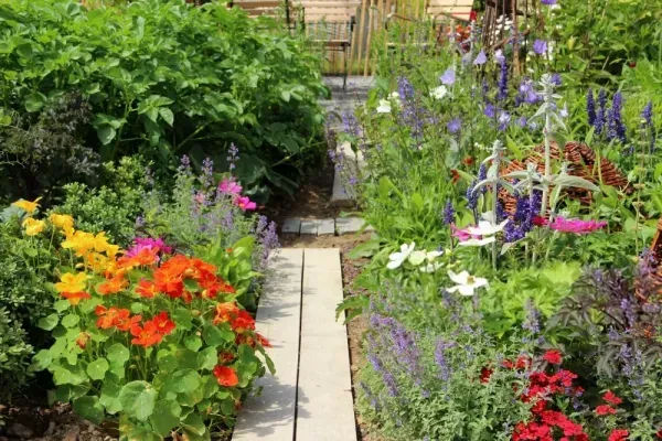 عکس باغچه برای پروفایل واتساپ و تلگرام