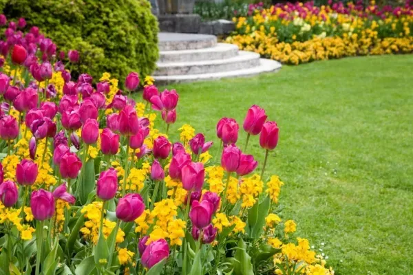 عکس باغچه برای پروفایل واتساپ و تلگرام