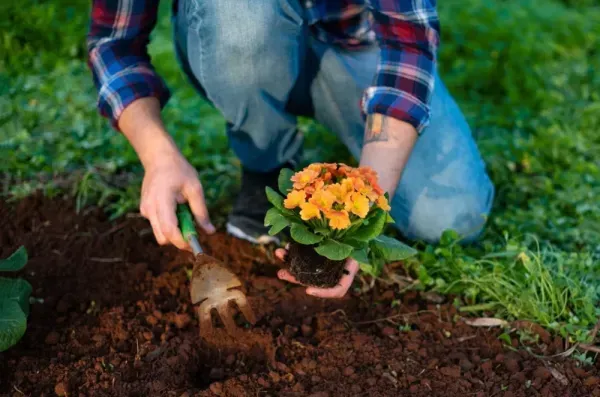 عکس باغچه برای پروفایل واتساپ و تلگرام