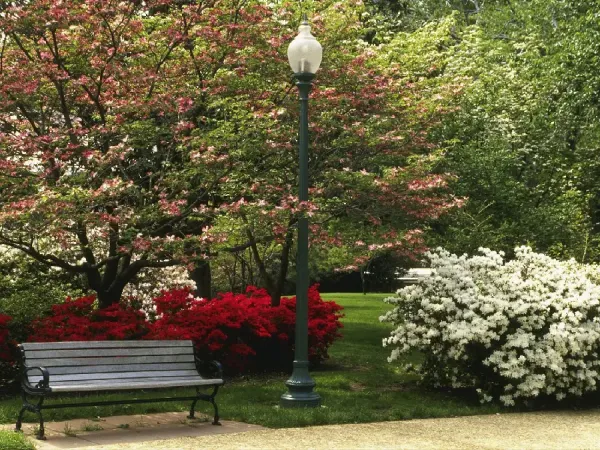 عکس باغچه برای بک گراند گوشی موبایل