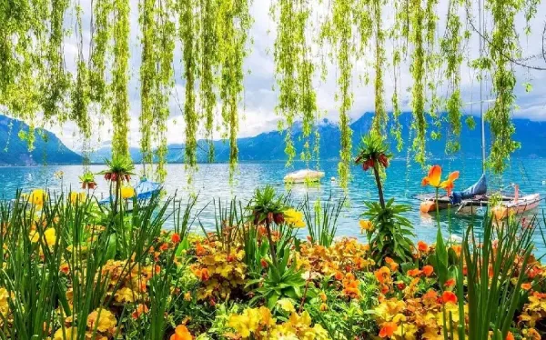 عکس باغچه برای بک گراند گوشی موبایل
