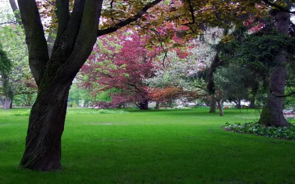 عکس باغچه برای بک گراند گوشی موبایل