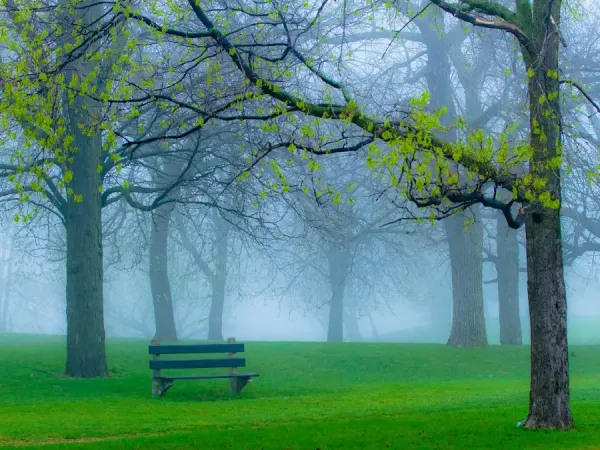 عکس باغچه برای بک گراند گوشی موبایل