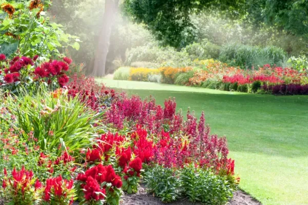 عکس باغچه برای والپیپر