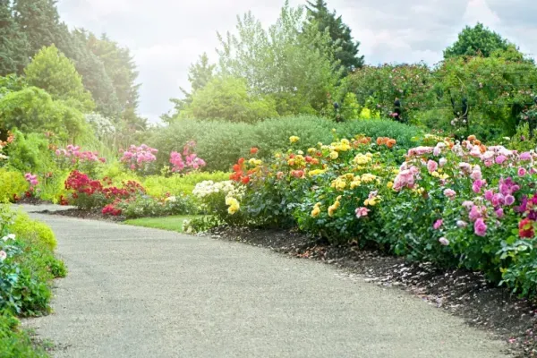 عکس باغچه برای والپیپر