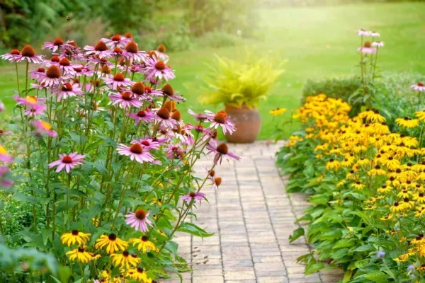 عکس باغ گل طبیعی