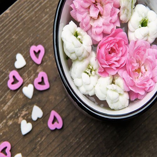  عکس باغ پر از گل برای پروفایل