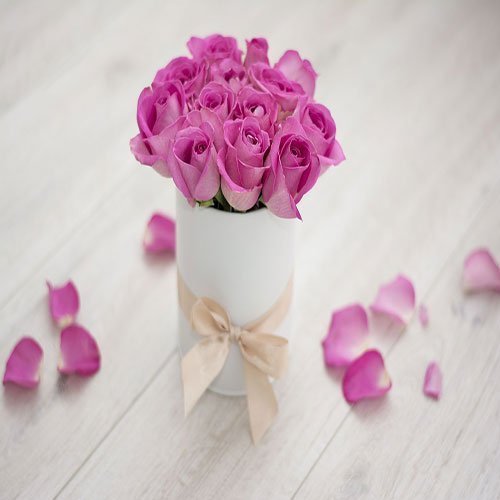  عکس باغ پر از گل برای پروفایل