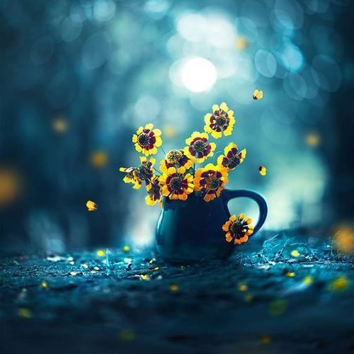  عکس باغ پر از گل برای پروفایل
