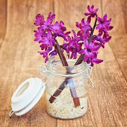  عکس باغ پر از گل برای پروفایل